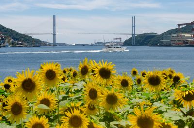 優秀賞『夏空に架かる橋』