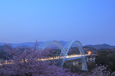 『春の架け橋』