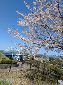 『桜と西海橋』
