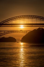 『黄金の架け橋に感動！』