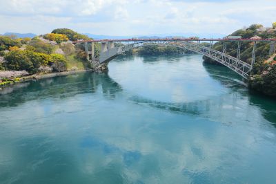 『花見シーズン』