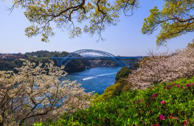 『癒しの空間』