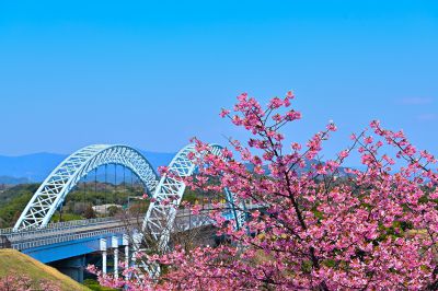 『春を告げる色彩』