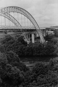 『Nature's Framework』